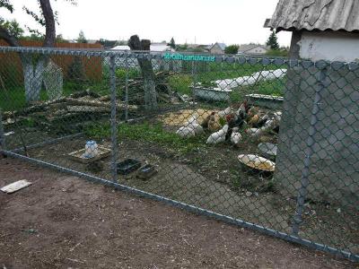 Забор из пластиковой сетки
Забор из пластиковой сетки