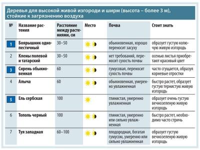 Живая изгородь на даче своими руками: какие растения лучше выбрать, пошаговый процесс монтажа Живая изгородь на даче своими руками: какие растения лучше выбрать, пошаговый процесс монтажа
